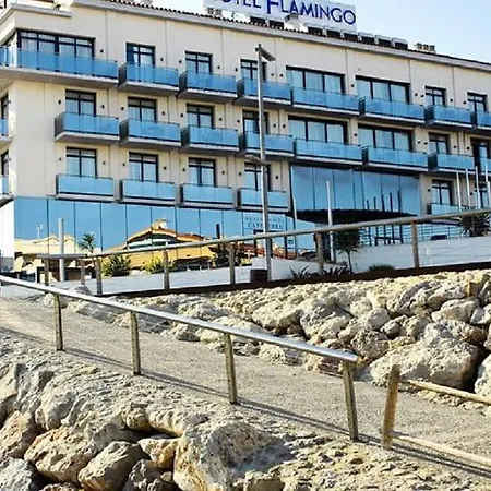 Flamingo L'Ampolla